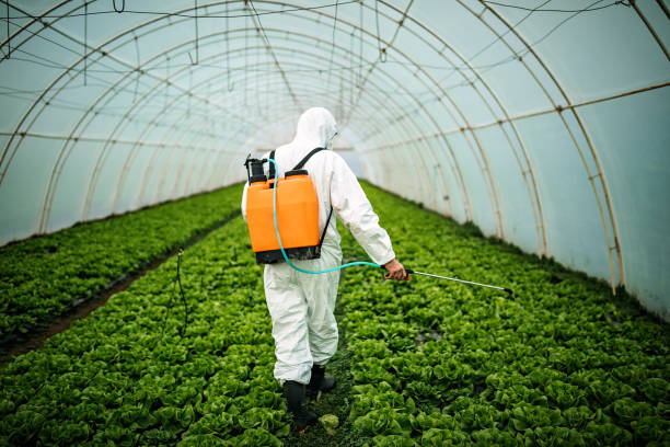 Best Mosquito Control Services  in Port Salerno, FL