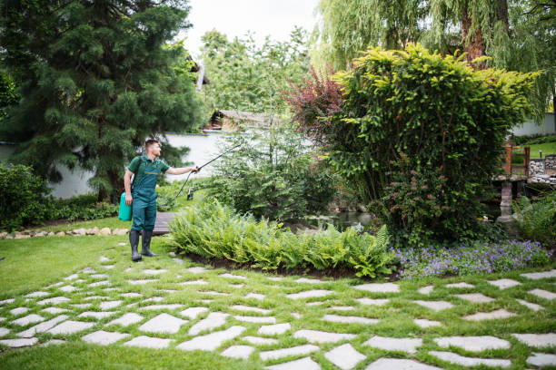 Best Local Pest Control Services  in Port Salerno, FL