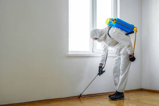 Port Salerno, FL Pest Control Company
