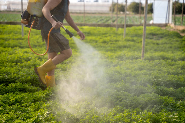 Best Mosquito Control Services  in Port Salerno, FL