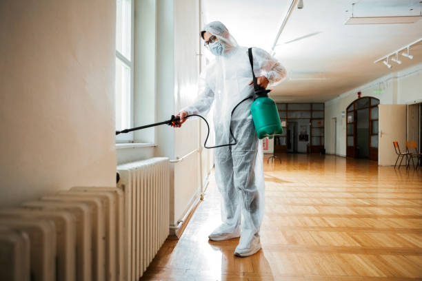 Best Best Pest Control Companies  in Port Salerno, FL