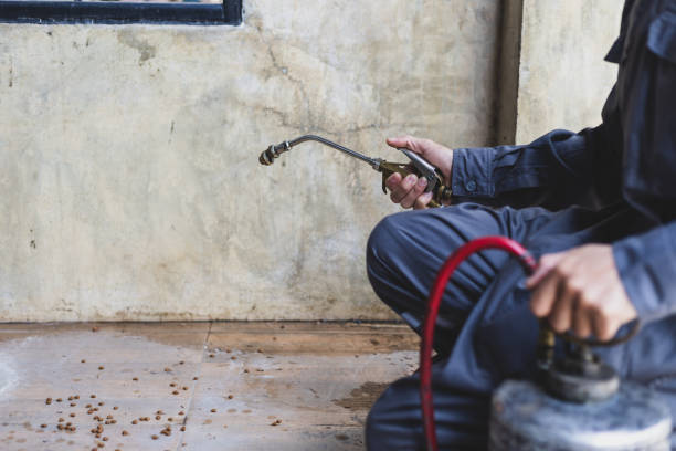 Best Pest Control Cost  in Port Salerno, FL