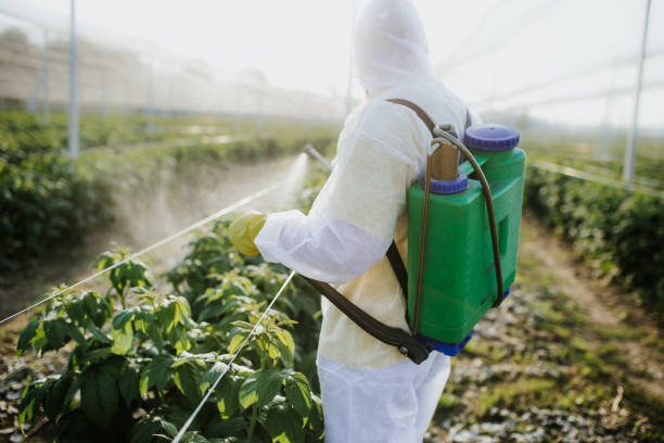 Best Wildlife Control Services  in Port Salerno, FL